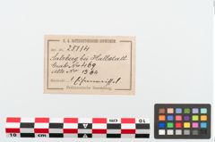 Etikett zu Eisentüllenmeißel (NHMW-PRAE-025114)